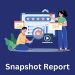 Snapshot Report Widget